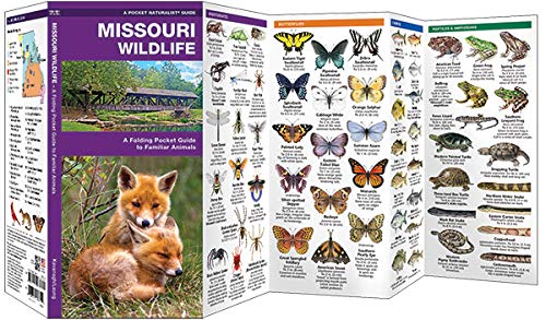 Missouri Wildlife: A Folding Pocket Guide to Familiar Animals (Wildlife and Nature Identification),Used