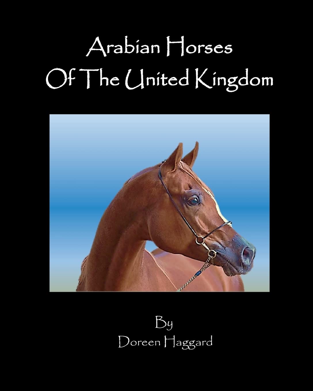 Arabian Horses In The United Kingdom,Used