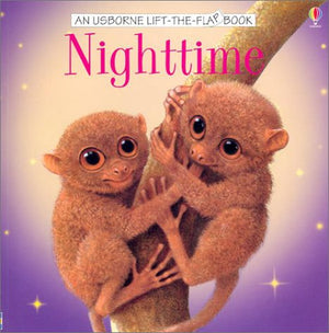 Nighttime (Usborne LifeTheFlap Book),Used