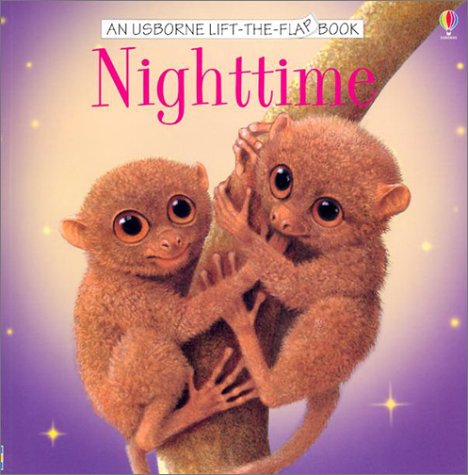 Nighttime (Usborne LifeTheFlap Book),Used