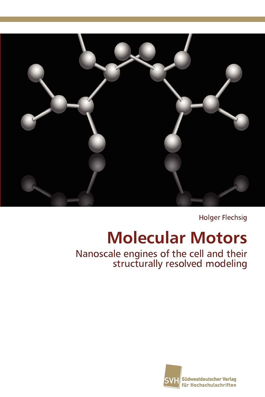 Molecular Motors: Nanoscale engines of the cell and their structurally resolved modeling,Used