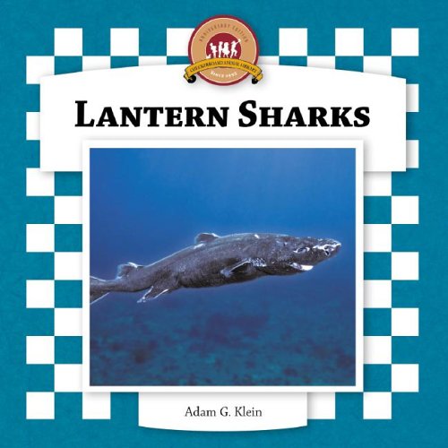 Lantern Sharks (Sharks Set II),Used