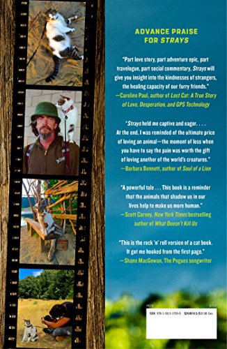 Strays: A Lost Cat, a Homeless Man, and Their Journey Across America,Used