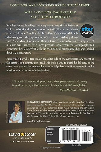Two Testaments: A Novel (Secrets Of The Cross Trilogy),New
