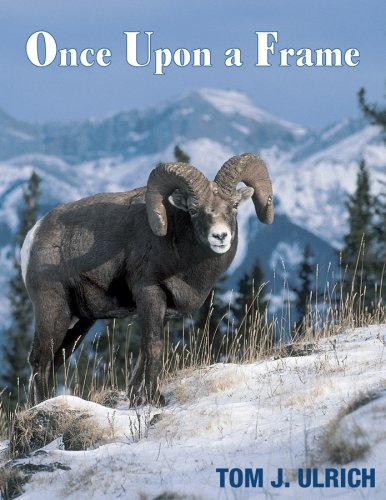 Once upon a Frame,Used
