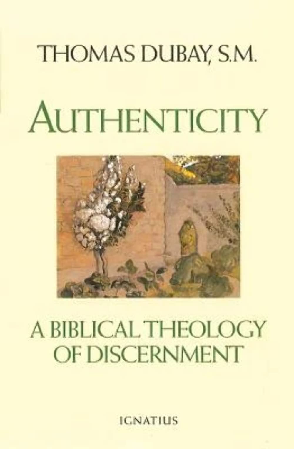 Authenticity: A Biblical Theology of Discernment,Used