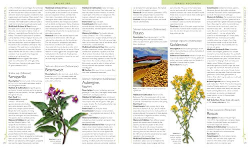 Encyclopedia Of Herbal Medicine-used