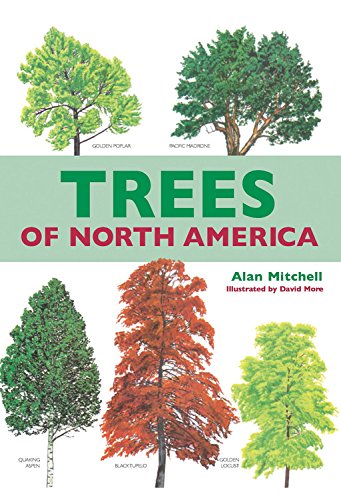 Trees Of North America