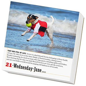365 Dogs PageADay Calendar 2023: The World's Favorite Dog Calendar,Used