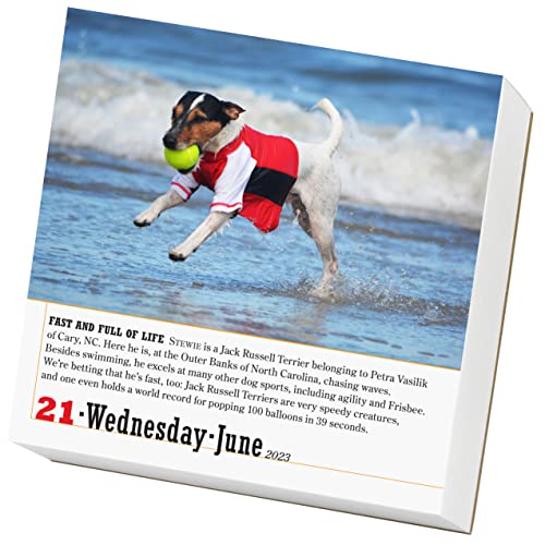 365 Dogs PageADay Calendar 2023: The World's Favorite Dog Calendar,Used