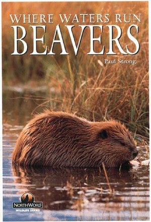 Beavers: Where Waters Run (Northword Wildlife Series),Used