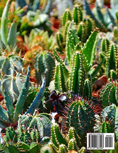 Composition Notebook: Wide Ruled Cactus Cute Composition Notebook, Girl Boy School Notebook, College Notebooks, Composition Book,Used