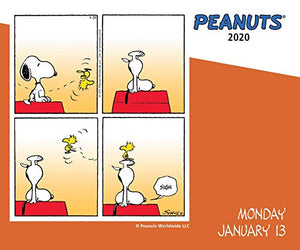 Peanuts 2020 DaytoDay Calendar,Used