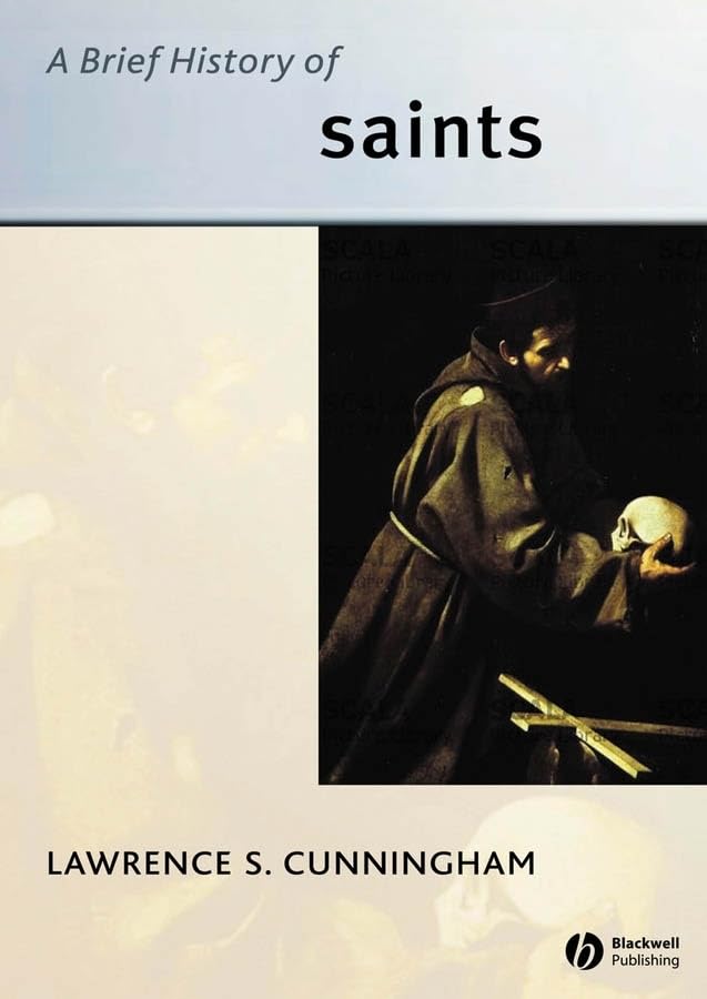 A Brief History Of Saints,Used
