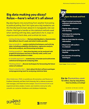 Statistics for Big Data for Dummies,Used