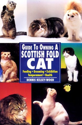 Guide to Owning a Scottish Fold Cat,Used