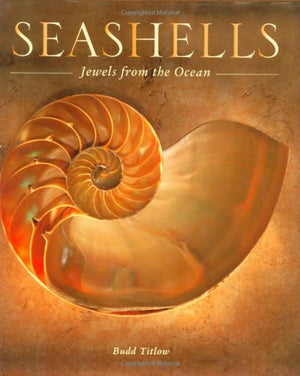 Seashells: Jewels from the Ocean,Used