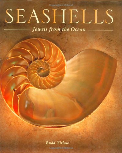 Seashells: Jewels from the Ocean,Used