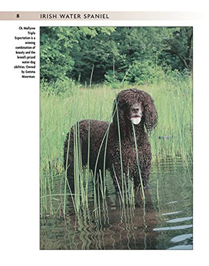 Irish Water Spaniel (Comprehensive Owner's Guide),Used