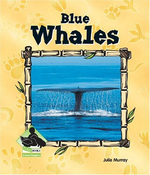 Blue Whales (ANIMAL KINGDOM SET II)