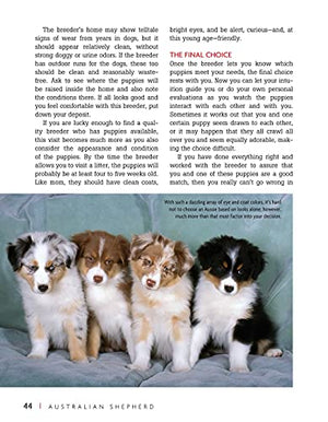 Australian Shepherd Dog (Companionhouse Books) Aussie Origins, Care, Housetraining, Health Concerns, Bad Behavior Solutions, Ac