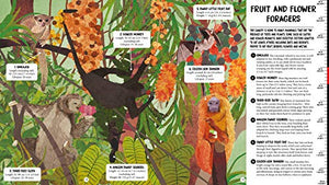 All the Way Down: Amazon Rainforest,Used