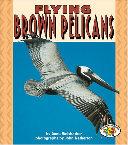 Flying Brown Pelicans (Pull Ahead Books),Used