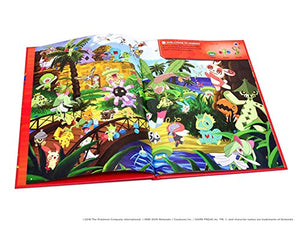 Pokmon Seek and Find: Hoenn,Used