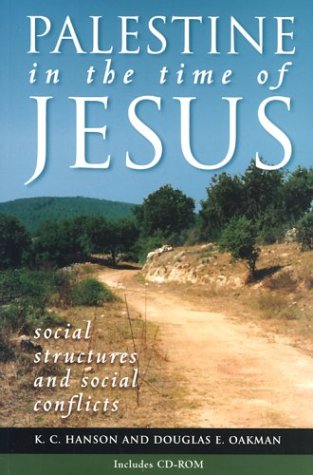 Palestine in the Time of Jesus: Social Structures and Social Conflicts,Used