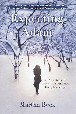 Expecting Adam: A True Story Of Birth, Rebirth, And Everyday Magic,New