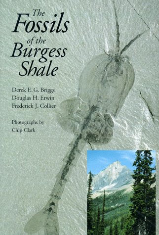 The Fossils Of The Burgess Shale,New