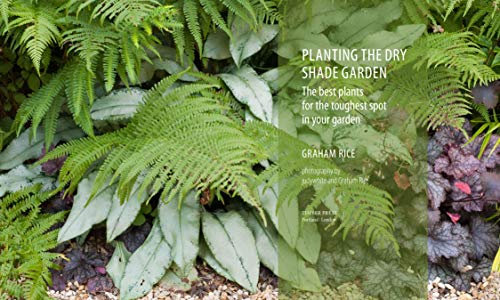 Planting the Dry Shade Garden: The Best Plants for the Toughest Spot in Your Garden,Used