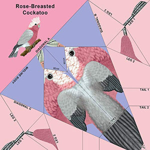 Easy Bird Origami: 30 PrePrinted Bird Models (Dover Origami Papercraft),Used