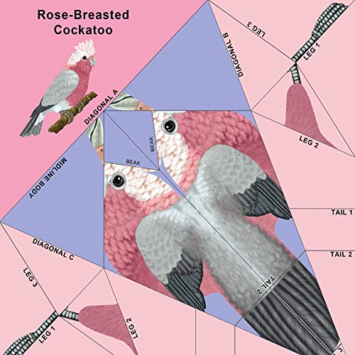 Easy Bird Origami: 30 PrePrinted Bird Models (Dover Origami Papercraft),Used