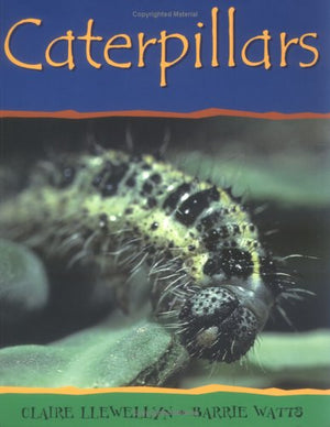 Caterpillars (Mimibeasts),Used