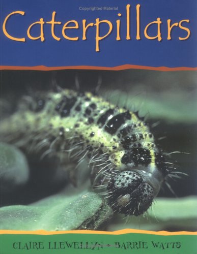 Caterpillars (Mimibeasts),Used