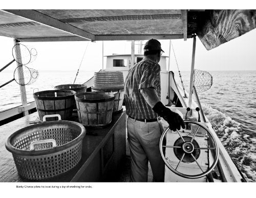 Chesapeake Views,Used