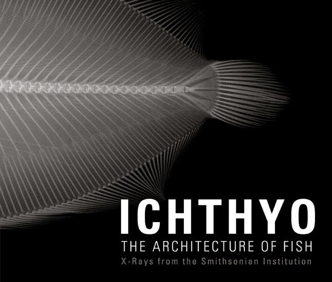 Ichthyo: The Architecture of Fish,New