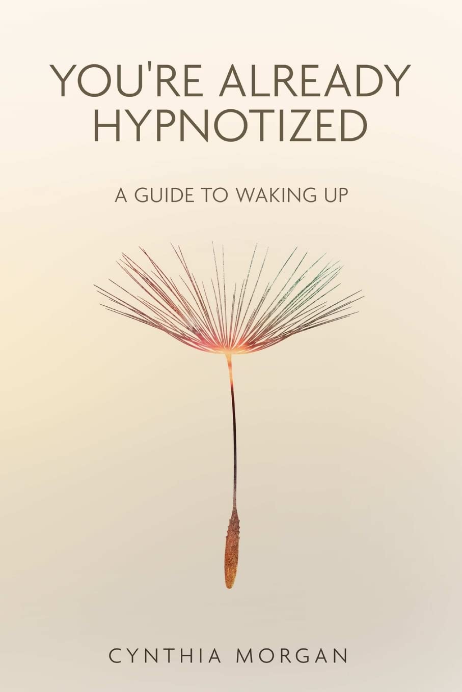 You're Already Hypnotized: A Guide to Waking Up,Used