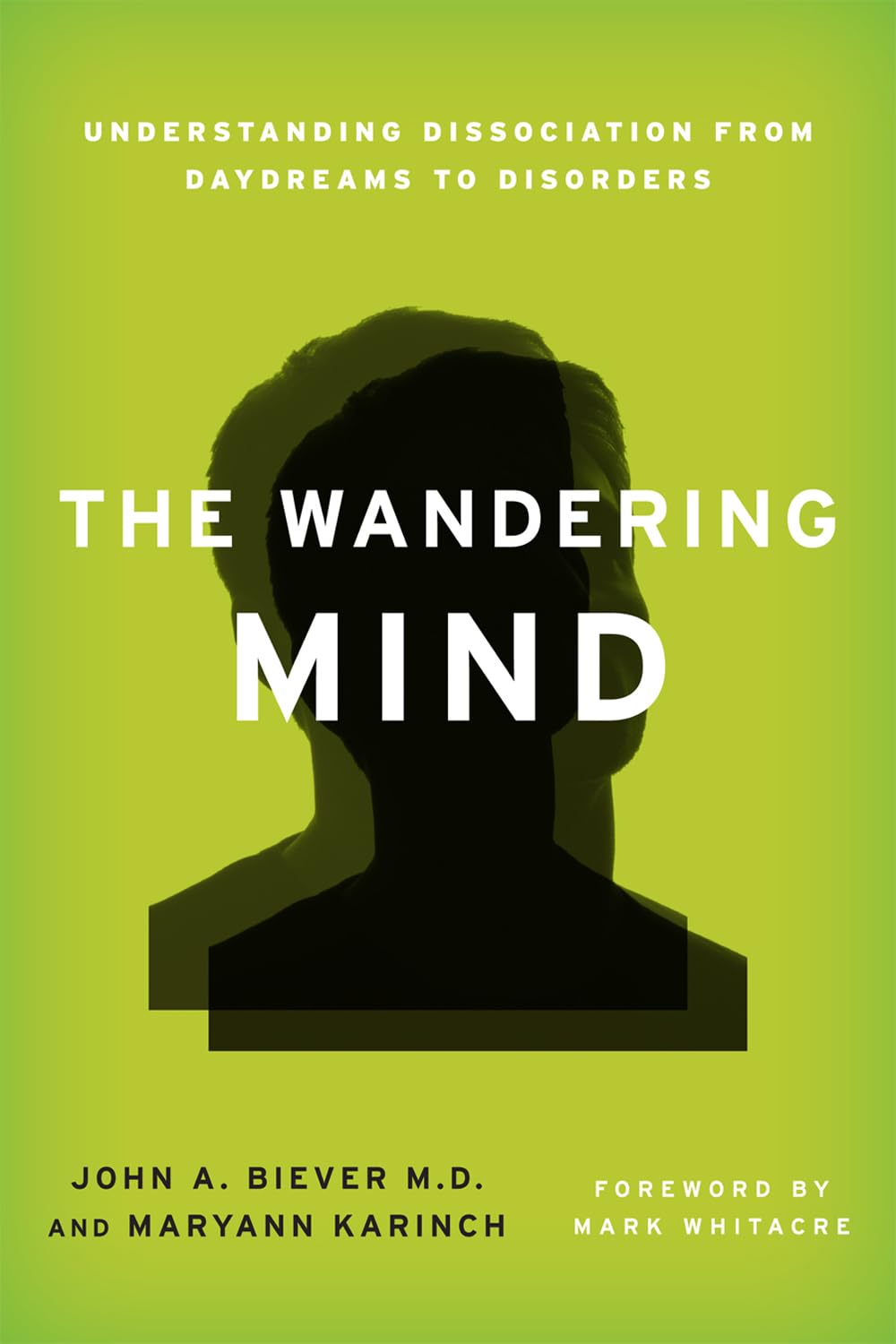 The Wandering Mind: Understanding Dissociation from Daydreams to Disorders,Used