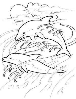 Dolphin Dream Designs Coloring Book (Dover Sea Life Coloring Books),Used