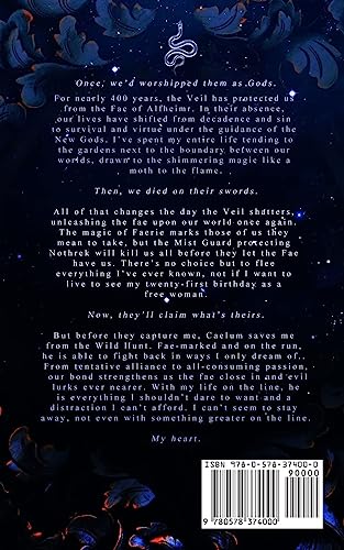 What Lies Beyond the Veil (Of Flesh & Bone Series),Used