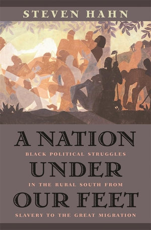 A Nation Under Our Feet: Black Political Struggles In The Rural South From Slavery To The Great Migration,New