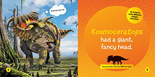 National Geographic Kids Little Kids First Board Book: Dinosaurs (First Board Books),Used