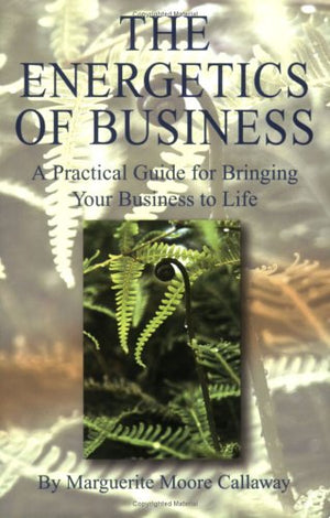 The Energetics of Business: A Practical Guide for Bringing Your Business to Life,Used