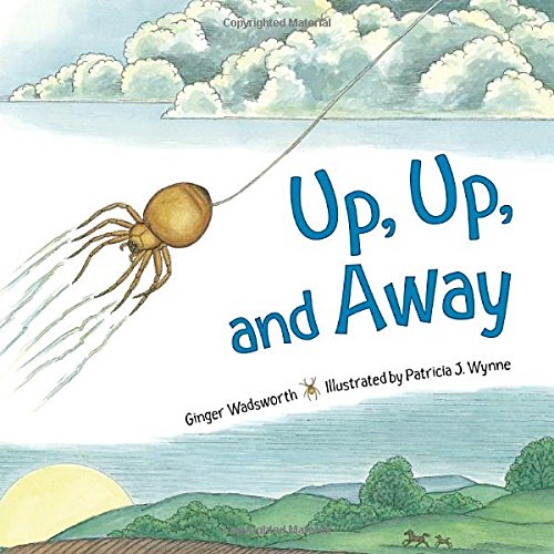Up, Up, and Away,Used