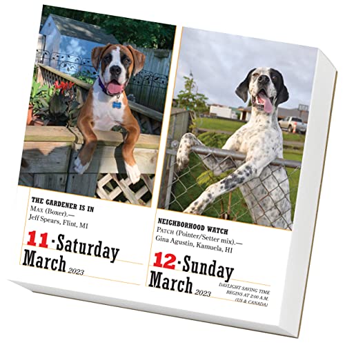 365 Dogs PageADay Calendar 2023: The World's Favorite Dog Calendar,Used