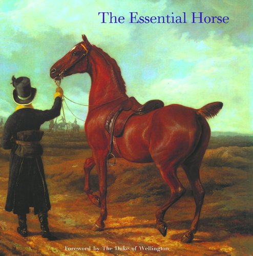 The Essential Horse-used