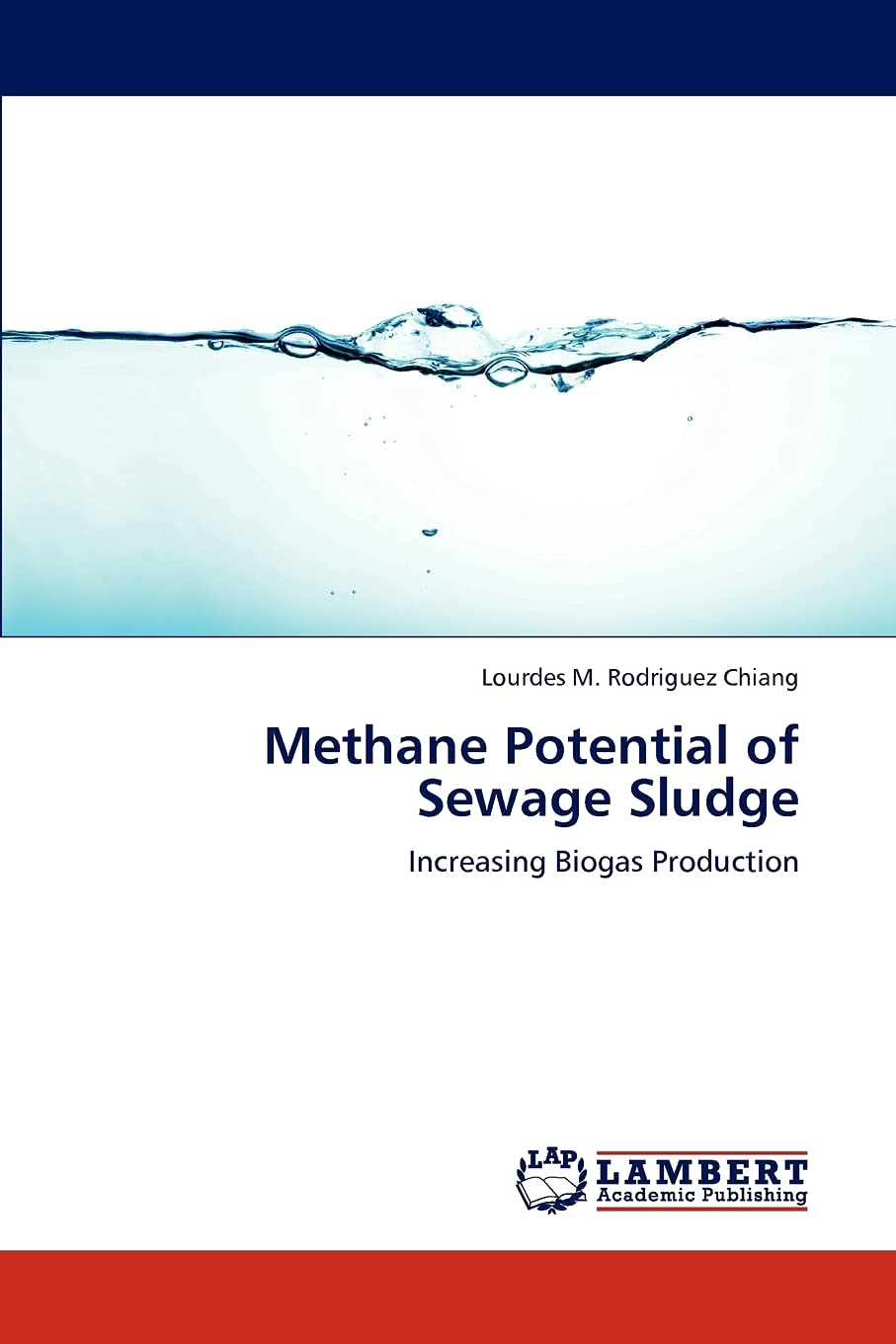 Methane Potential of Sewage Sludge: Increasing Biogas Production,Used