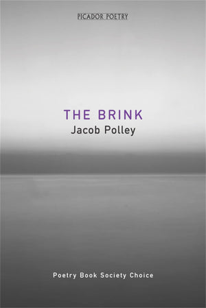 The Brink,Used